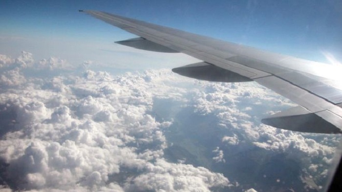 India to fine airlines for `dropping` poo